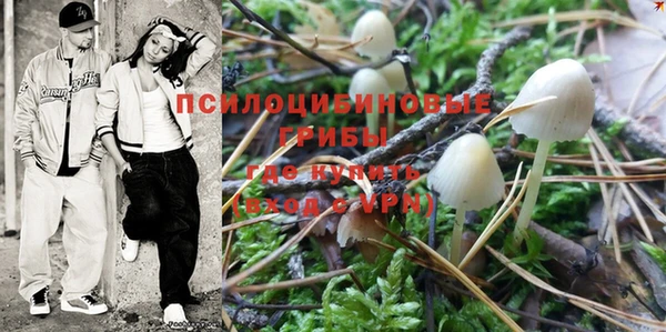 индика Нягань