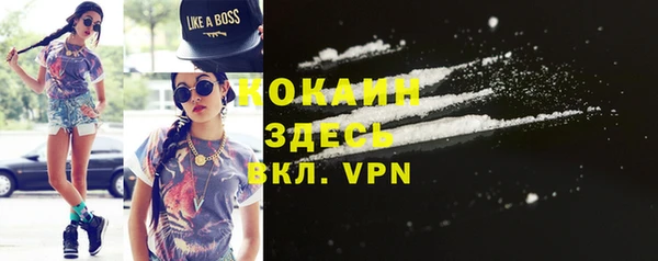 шишки Нязепетровск