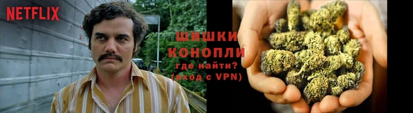 индика Нягань