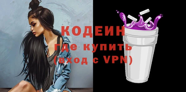 амф Няндома