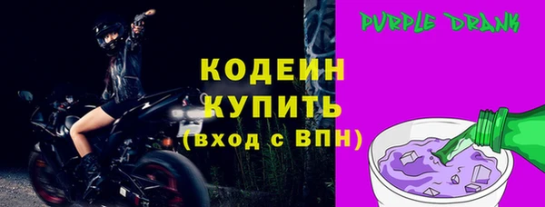 амф Няндома