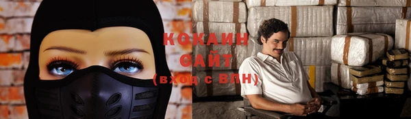 шишки Нязепетровск