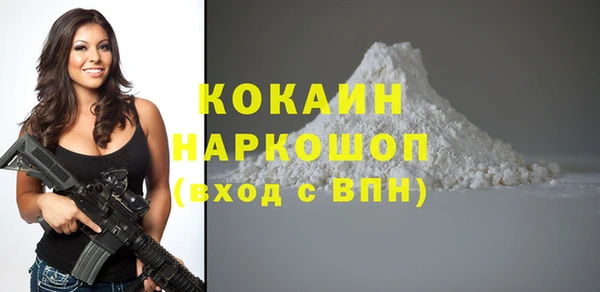 индика Нягань