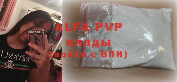индика Нягань