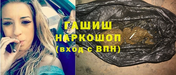 индика Нягань