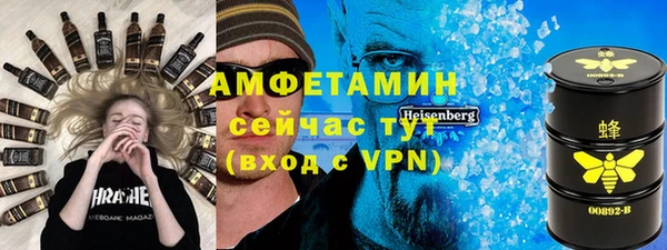 индика Нягань