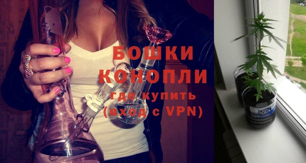 шишки Нязепетровск