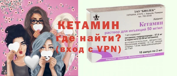 индика Нягань