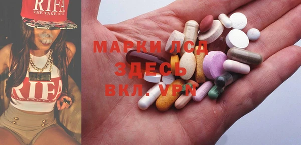 индика Нягань