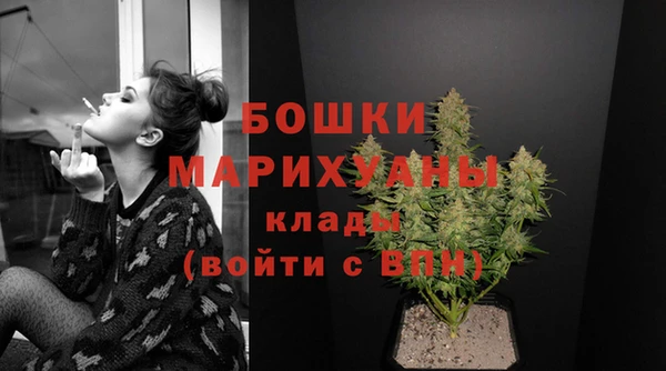 соль ск Осинники