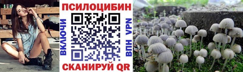 купить  цена  Балахна  Галлюциногенные грибы GOLDEN TEACHER 