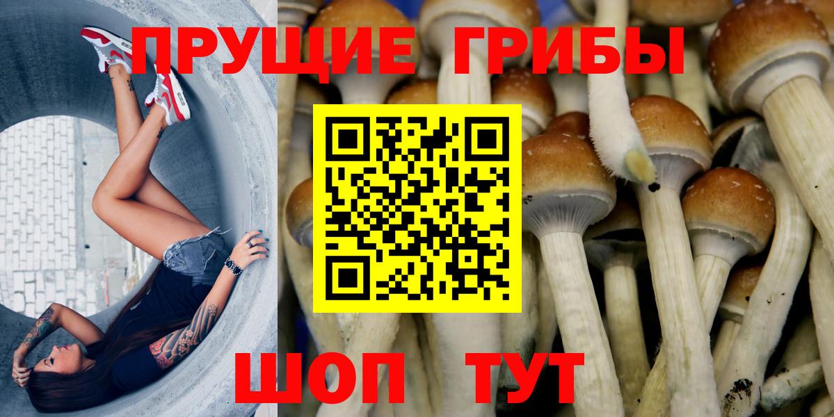 Галлюциногенные грибы Magic Shrooms  Балахна 