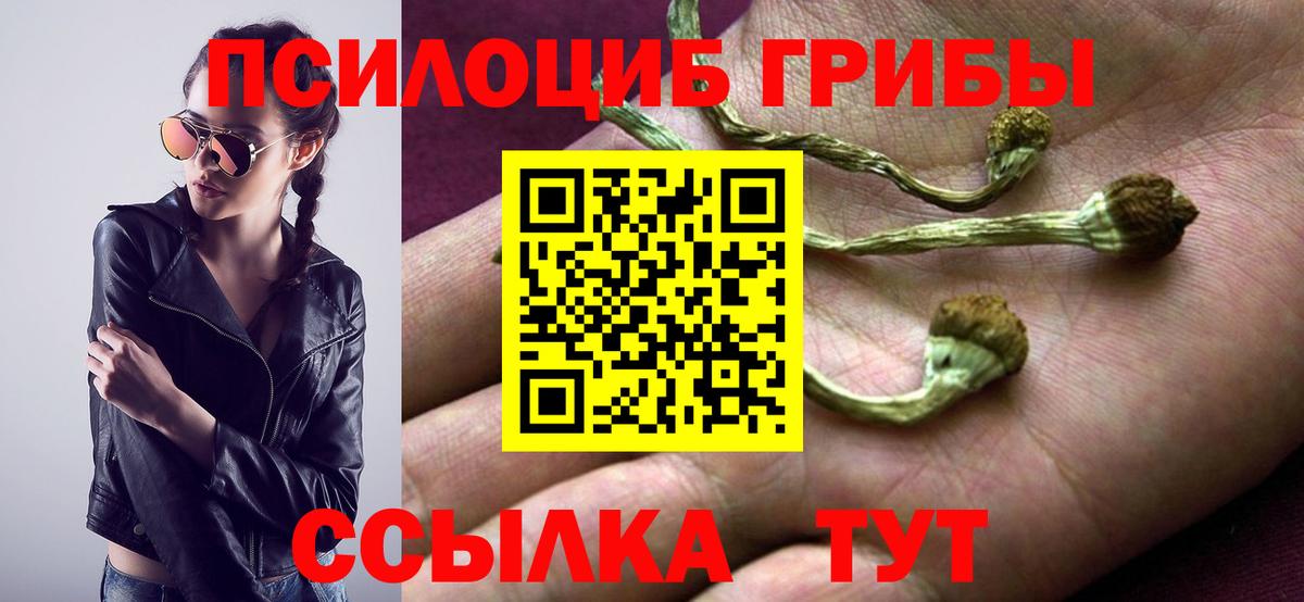 Псилоцибиновые грибы мухоморы Балахна